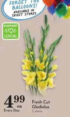 Pavilions Fresh Cut Gladiolus offer