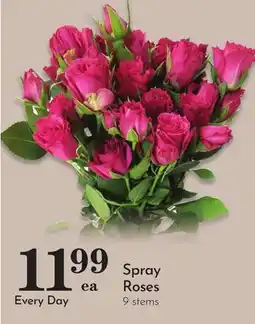 Pavilions Spray Roses offer