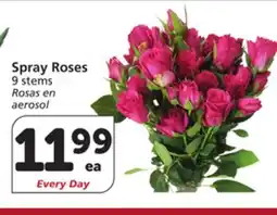 Vons Spray Roses offer