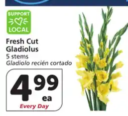 Albertsons Fresh Cut Gladiolus offer