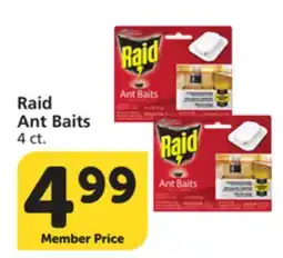 Albertsons Raid Ant Baits offer