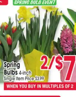 Jewel-Osco Spring Bulbs offer