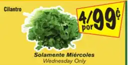 El Super Cilantro offer
