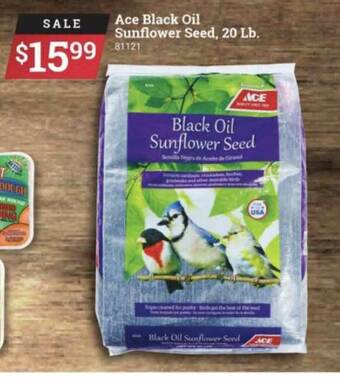 Ace Hardware Ace Black Oil Sunflower Seed offer