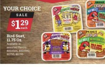 Ace Hardware Bird Suet offer