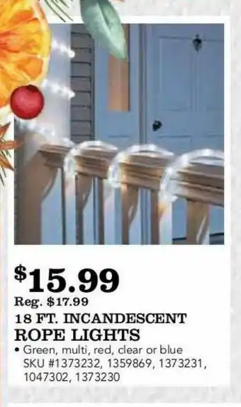 18 Ft. Incandescent Rope Lights