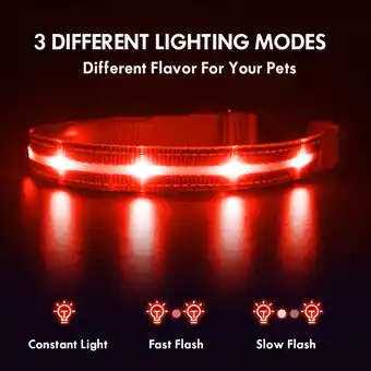 Walmart MASBRILL LED Glow Dog Collar USB Rechargeable Light Flashing Dog Collar offer