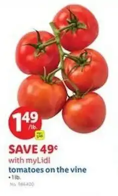 Lidl tomatoes on the vine offer