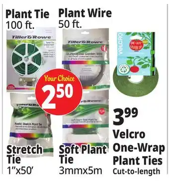 Ocean State Job Lot Plant Tie offer