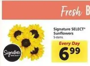 Safeway Signature SELECT Sunflowers offer