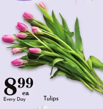 Pavilions Tulips offer