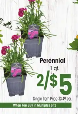 Jewel-Osco Perennial offer