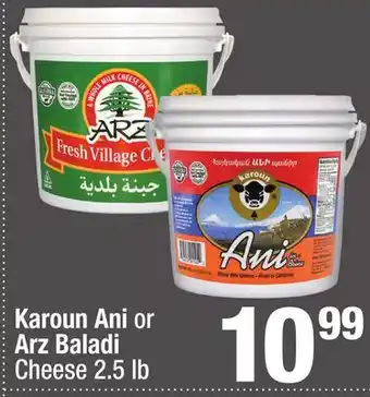 Super King Markets Karoun Ani or Arz Baladi Cheese offer