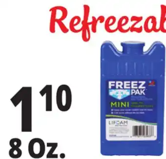 Ocean State Job Lot Freez Pak Reusable Mini Ice Pack 8 oz offer