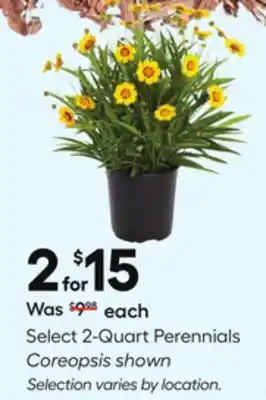 Lowe's Select 2-Quart Perennials offer