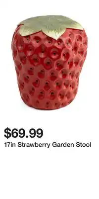 TJ Maxx 17in Strawberry Garden Stool offer