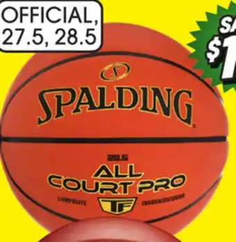 Big 5 Spalding All Court Pro TF Basketball offer