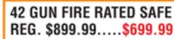 Dunham's Sports 42 GUN FIRE RATED SAFE offer