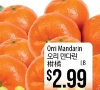 Hmart Orri Mandarin offer