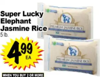 Superior Grocers Super Lucky Elephant Jasmine Rice offer