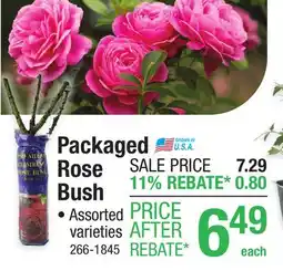 Menards 1 1/2 Packaged Dormant Rose Bush offer