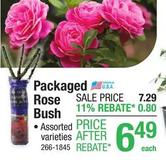 Menards 1 1/2 Packaged Dormant Rose Bush offer