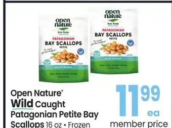 Albertsons Open Nature Wild Caught Patagonian Petite Bay Scallops - 16 oz., Frozen offer