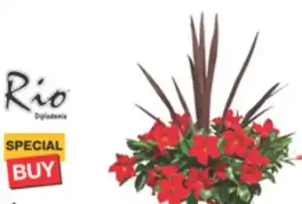 The Home Depot 10 Drop-N-Decorate offer