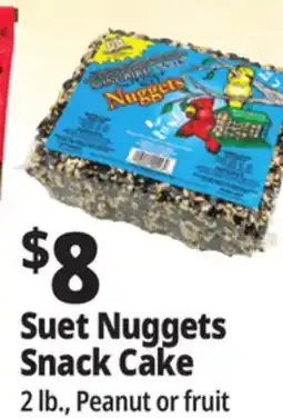 Ocean State Job Lot C&S Songbird Snak with Peanut Suet Nuggets 32 oz offer