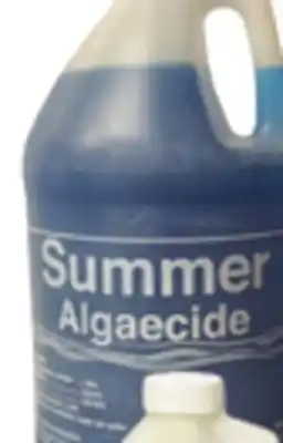 Ocean State Job Lot Algaecide offer