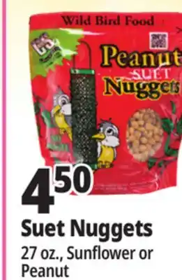 Ocean State Job Lot C&S Wire Bird Feeder offer