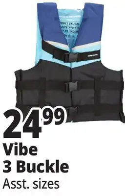 Ocean State Job Lot Vibe 3 Buckle offer