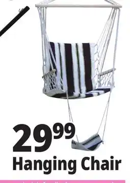 Ocean State Job Lot Hanging Chair offer