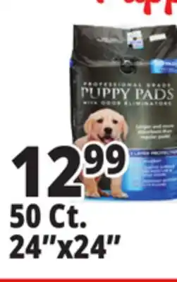 Ocean State Job Lot 24x24 Puppy Pads with Odor Eliminators 50 Count offer
