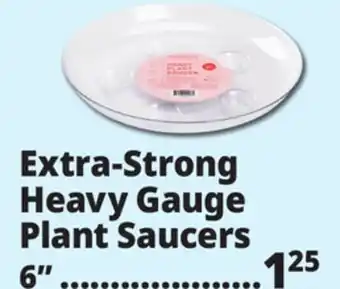 Ocean State Job Lot Extra-Strong Heavy Gauge Plant Saucers offer