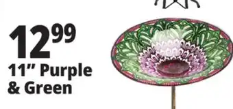 Ocean State Job Lot 11 Purple & Green offer