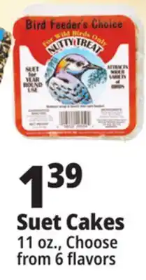 Ocean State Job Lot Bird Feeder's Choice High Energy Suet 11 oz offer