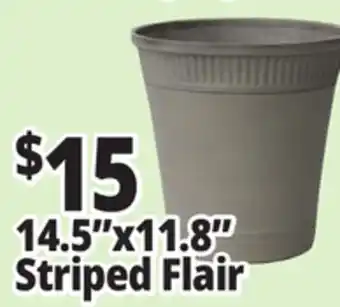 Ocean State Job Lot 14.5x11.8 Striped Flair offer