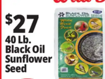 Ocean State Job Lot Black Oil Sunflower Seeds 40 lbs offer