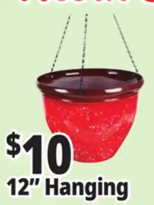 Ocean State Job Lot Hanging 12 Planter offer