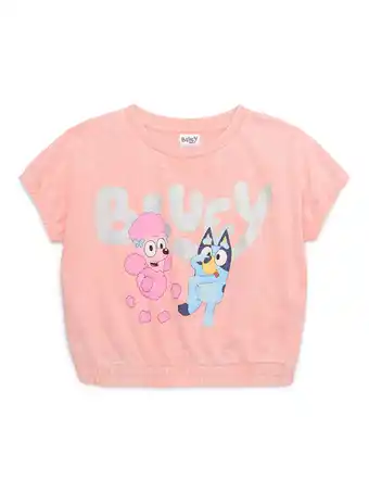 Walmart Bluey and Coco Girls Iridescent Short Sleeve Graphic Top, Sizes 4-16 offer