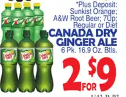 Bravo Supermarkets CANADA DRY GINGER ALE offer