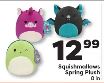 Weis Markets Squishmallows Spring Plush offer