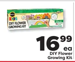 Weis Markets DIY Flower Growing Kit offer