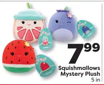 Weis Markets Squishmallows Mystery Plush offer