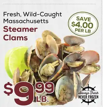 DeCicco & Sons Massachusetts Steamer Clams offer