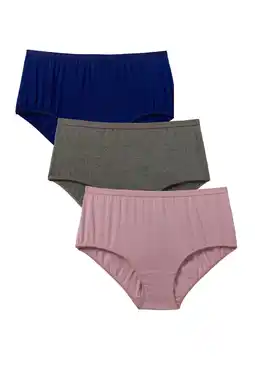 Walmart Comfort Choice Women's Plus Size 3-Pack Odor Control Brief offer