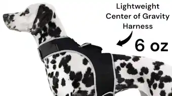 Walmart Long Range Tracking Pet Tracker GSM GPS Tracking Collars for Hunting Dogs Size:S offer