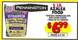 Ollie's 5 LB. AZALEA FOOD offer