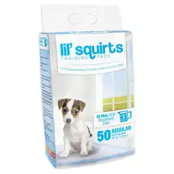 Walmart Lil' Squirts Training Pads 50/Pkg-, Pk 1, Westminster Pet Products offer